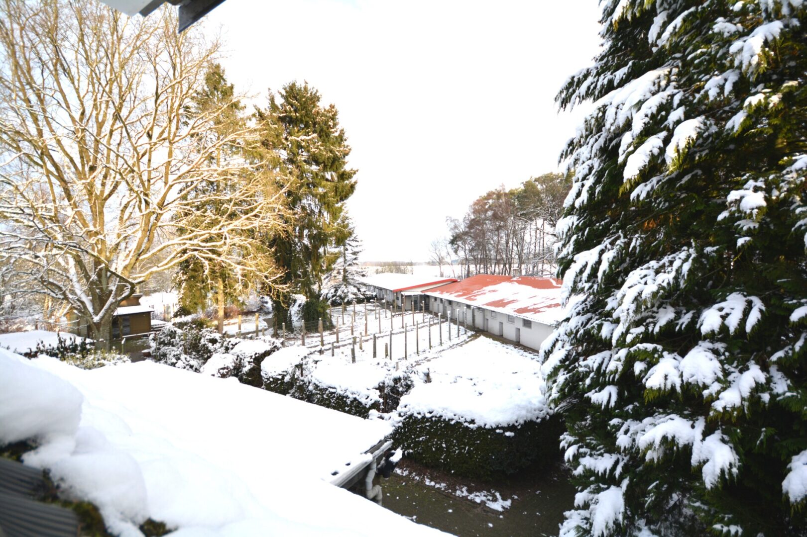 Hundehäuser mit Ausläufen